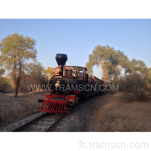 Trains attrayants de voie électrique en plein air